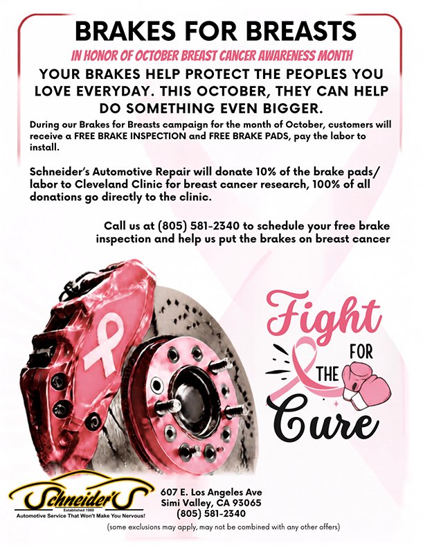 Brakes for Breasts Campaign